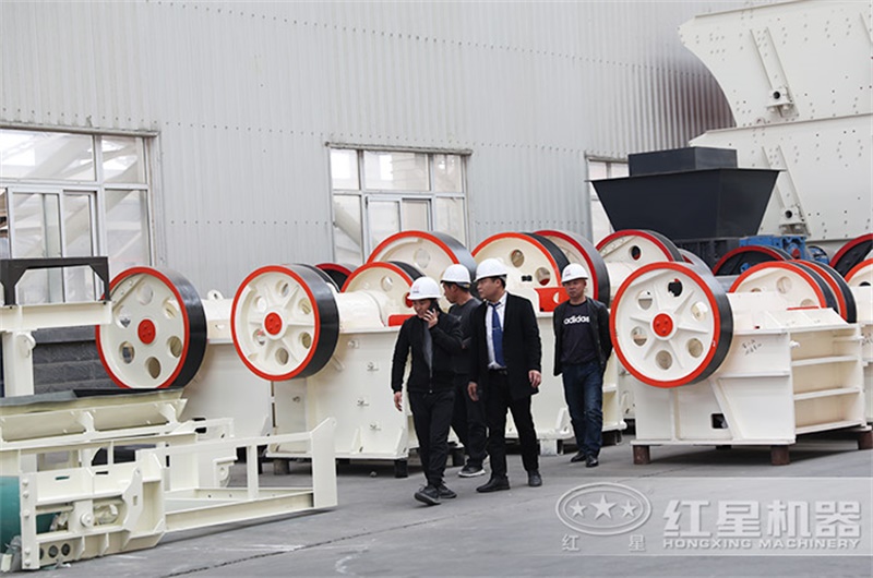 客戶(hù)考察250x1000細(xì)鄂設(shè)備 客戶(hù)考察250x1000細(xì)鄂設(shè)備